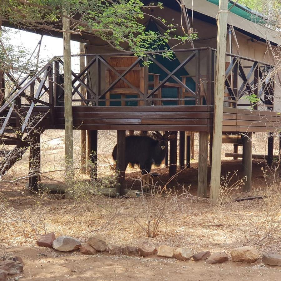 Kelora Bush Camp Hotel Hoedspruit Exterior foto