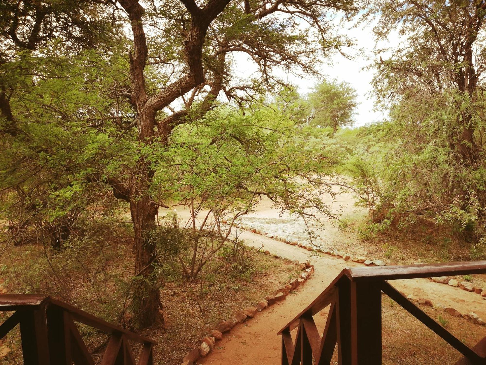 Kelora Bush Camp Hotel Hoedspruit Quarto foto